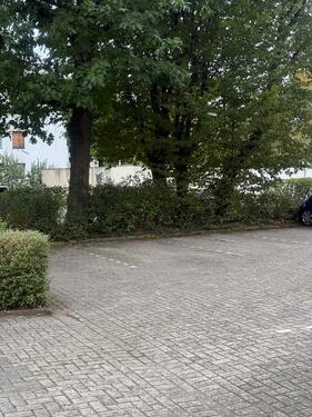 Foto - Stellplatz mieten - 50,00 EUR Miete,