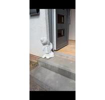 85 m² Seminarraum mit Garten in Wetter (Hessen)