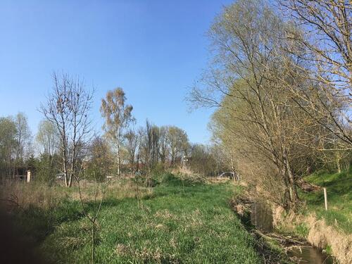 Foto - Einfamilienhaus zum Kaufen in Buttstädt