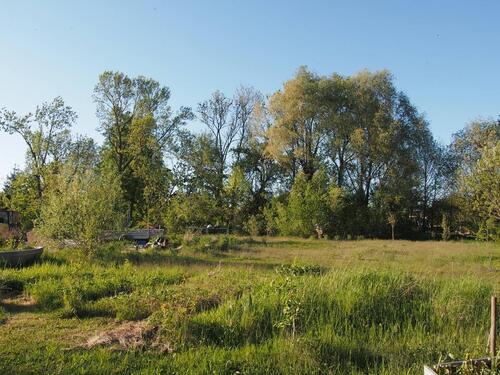 Foto - Einfamilienhaus in Buttstädt