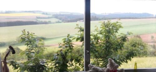 Foto - Ehemaliges Jagdhaus zu vermieten