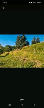 Foto - Freizeit Garten Grundstück - 100,00&nbsp;EUR Kaltmiete, ca.&nbsp; 0,00&nbsp;m&sup2;