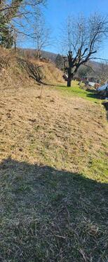 Foto - Grundst&uuml;ck zur Miete in Lahr (Schwarzwald)