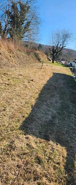 Foto - Grundst&uuml;ck in Lahr (Schwarzwald)