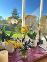 Foto - Wohnung in immenstaad - 780,00 EUR Kaltmiete,