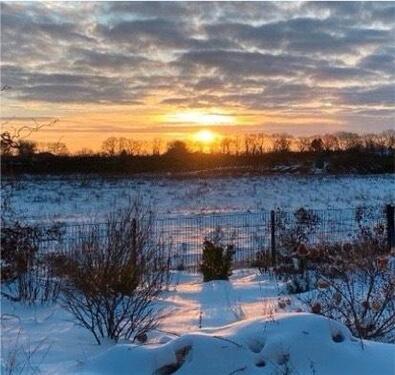 Foto - Haus zu vermieten - 1.600,00&nbsp;EUR Kaltmiete, ca.&nbsp; 130,00&nbsp;m&sup2;