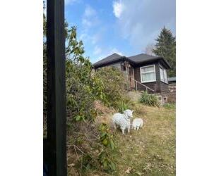 Ferienhaus mit Grundstück zu verkaufen - Neukirch/Lausitz