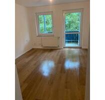 Renovierte 2 Zimmer Wohnung Ziegenhain Balkon Garten 53 qm - Schwalmstadt