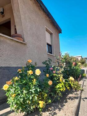 Foto - 5 Zimmer Einfamilienhaus in Mühlhausen (Thüringen)