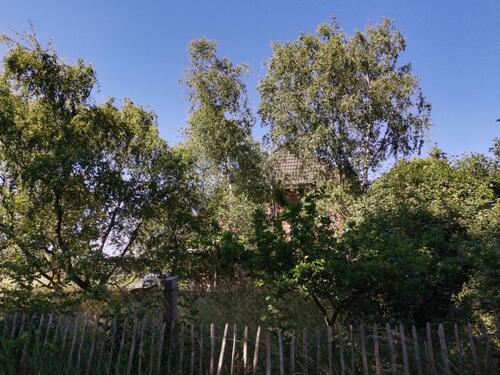 Foto - Einfamilienhaus in Boizenburg/Elbe