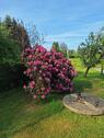 Foto - Einfamilienhaus zum Kaufen in Neukirch/Lausitz