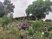 Foto - 3 Zimmer Einfamilienhaus zum Kaufen in Grimma