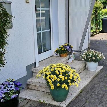 Foto - 5 Zimmer Einfamilienhaus zum Kaufen in Sundern (Sauerland)