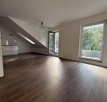 Stilvolles & modernes Penthouse mit großer Dachterrasse ins Grüne - Frankfurt am Main Sindlingen