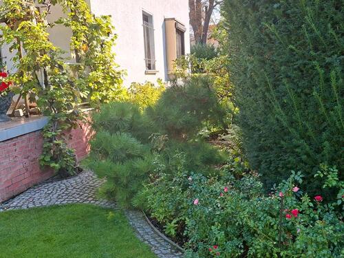 Foto - Einfamilienhaus in Magdeburg zum Kaufen
