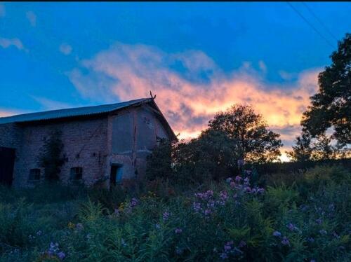 Foto - Wunderschöner alter Stall zum Umbau