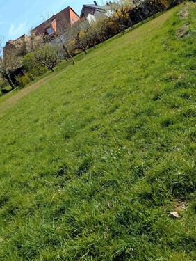 Foto - Grundst&uuml;ck zur Miete in Biebertal