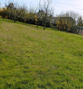 Foto - Grundst&uuml;ck in Biebertal