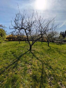 Foto - Grundst&uuml;ck in Biebertal zur Miete