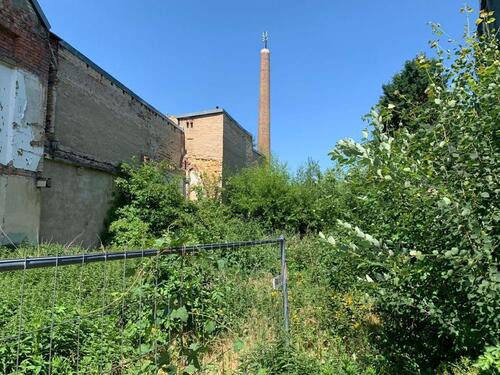 Foto - Grundstück zur Miete in Dessau-Roßlau