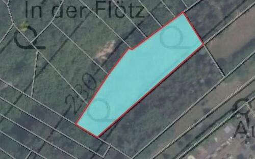 Foto - Waldfläche in Kirnsulzbach!! - 468,00 EUR Kaltmiete, ca.  0,00 m²