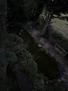 Foto - 