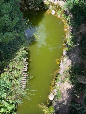Foto - 