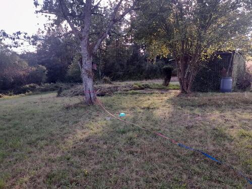 Foto - Grundstück in Gries