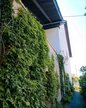 Foto - Einfamilienhaus in Schiffweiler zum Kaufen