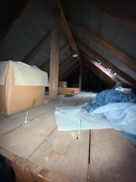 Foto - andere in Solingen