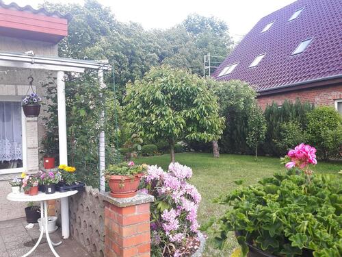 Foto - 