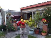 Foto - 