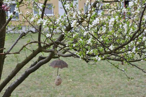 Foto - Etagenwohnung zur Miete in Senftenberg