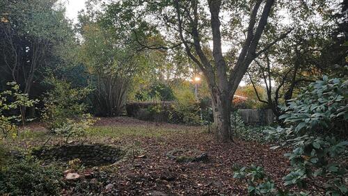 Foto - 2 Zimmer Einfamilienhaus in Nahrendorf