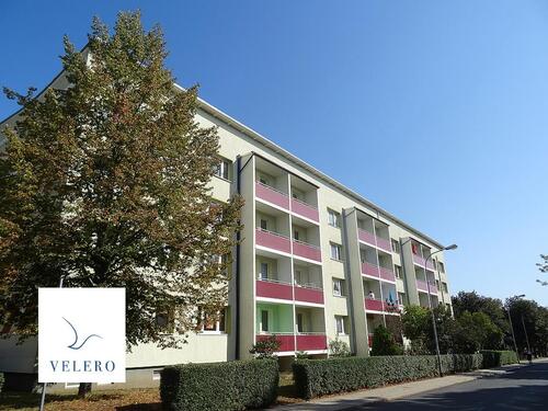 Foto - Dein kleines Nest wartet auf Dich!