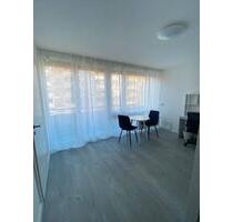 Möbilierte 1ZKB Wohnung in Ludwigshafen Süd - Ludwigshafen am Rhein Parkinsel