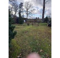 Haus mit großem Garten & Waldnähe - Nähe Haff Ueckermünde - Eggesin