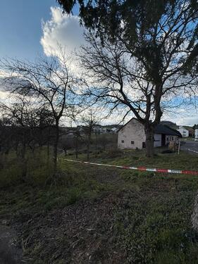 Foto - Großes Grundstück in der Vulkaneifel