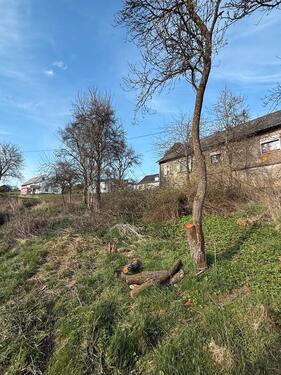 Foto - Einfamilienhaus zum Kaufen in Mehren