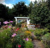 Wunderschöner Garten im Lausitzer Seenland abzugeben - Hoyerswerda