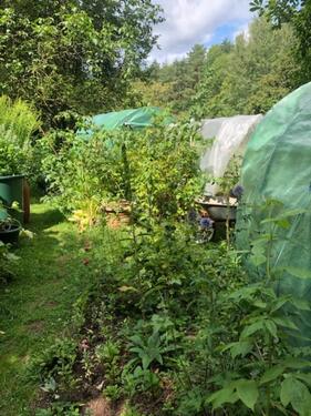 Foto - Gartengrundstück in der Natur bei Gundelsheim Bamberg