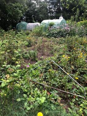 Foto - Einfamilienhaus in Gundelsheim