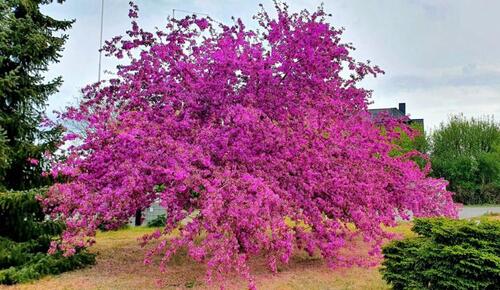 Foto - andere zur Miete in Oranienburg