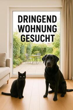 Foto - Dringend eine Mietwohnung - 800,00 EUR Kaltmiete,