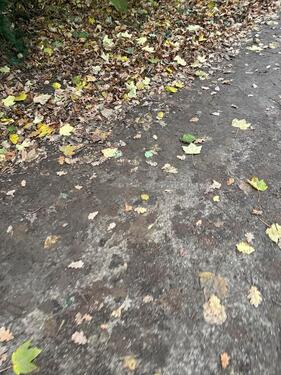 Foto - Stellplatz Außenstellplatz Untervermietung Nähe Airport