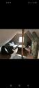 Foto - 7 Zimmer Einfamilienhaus in Nauort