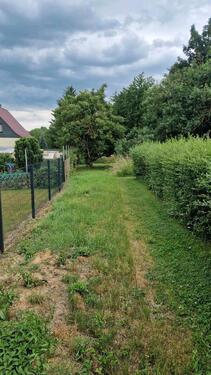 Foto - Grundstück in Eisleben (Lutherstadt)