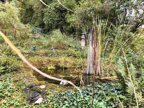 Foto - Einfamilienhaus in Blankenhain zum Kaufen