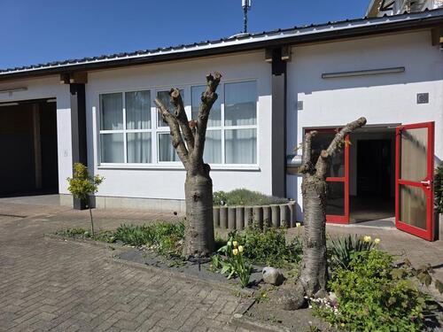 Foto - andere in Stockach