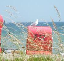 Ostseebad Schönhagen an OstseeSchlei (2 Pers.) - Kappeln